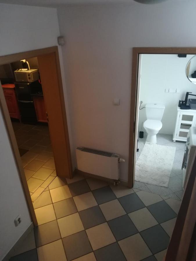 Central Point Διαμέρισμα Ζιελόνα Γκόρα Εξωτερικό φωτογραφία